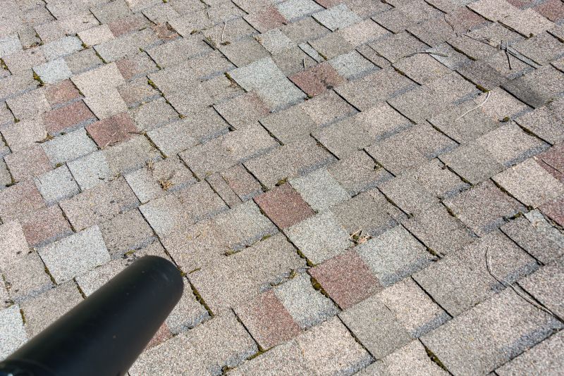 Asphalt Shingles Cleaning