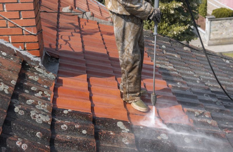 Tile Roof Cleaning