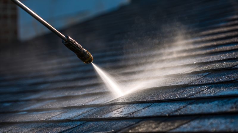 Asphalt Shingles Cleaning