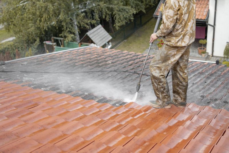 Roof Cleaning