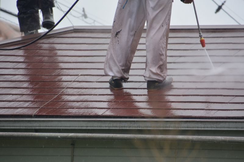 Roof Fungus Removal