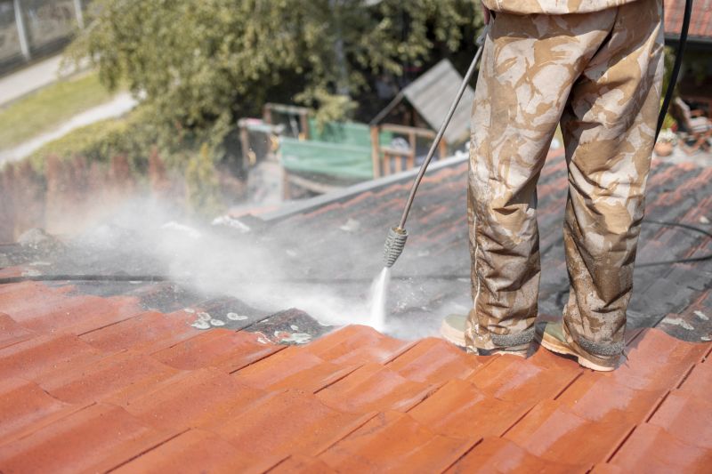Roof Mildew Removal